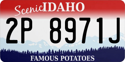 ID license plate 2P8971J