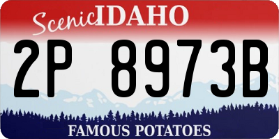 ID license plate 2P8973B