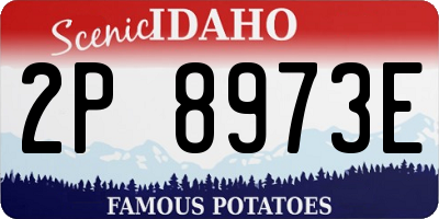 ID license plate 2P8973E