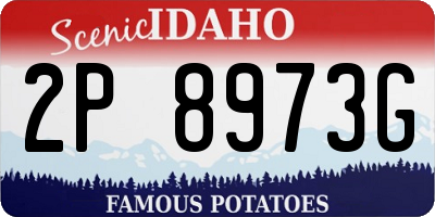ID license plate 2P8973G