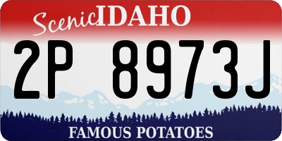ID license plate 2P8973J