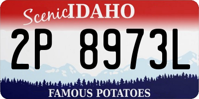 ID license plate 2P8973L