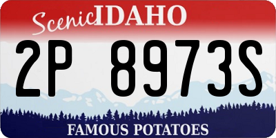 ID license plate 2P8973S