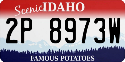 ID license plate 2P8973W