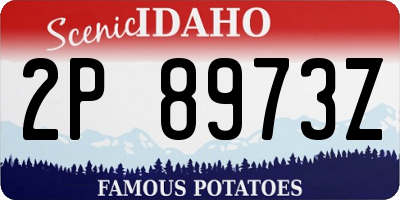ID license plate 2P8973Z