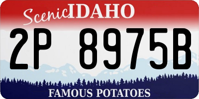 ID license plate 2P8975B