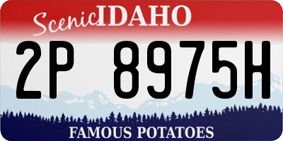 ID license plate 2P8975H
