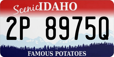 ID license plate 2P8975Q