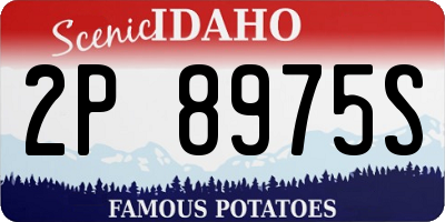 ID license plate 2P8975S
