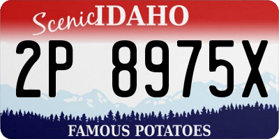 ID license plate 2P8975X