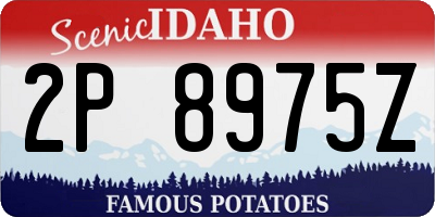 ID license plate 2P8975Z