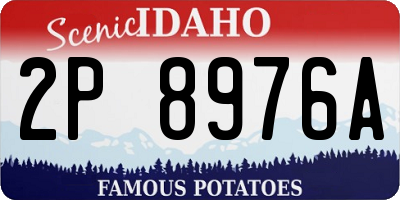 ID license plate 2P8976A