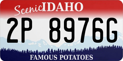 ID license plate 2P8976G