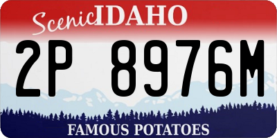 ID license plate 2P8976M