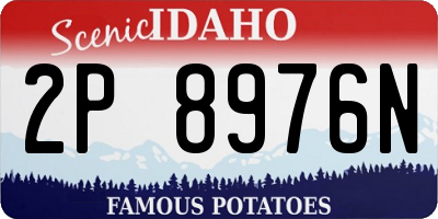ID license plate 2P8976N