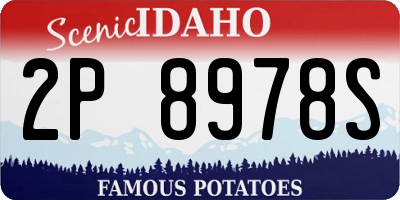 ID license plate 2P8978S