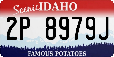 ID license plate 2P8979J