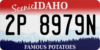 ID license plate 2P8979N