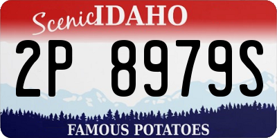 ID license plate 2P8979S