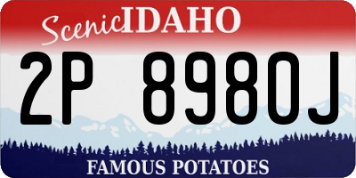 ID license plate 2P8980J