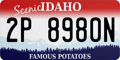 ID license plate 2P8980N