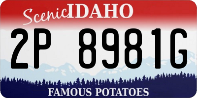 ID license plate 2P8981G