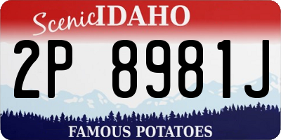 ID license plate 2P8981J