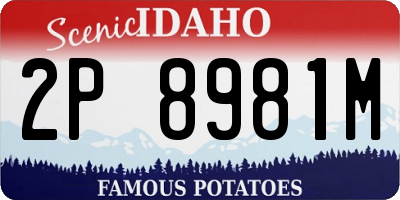 ID license plate 2P8981M