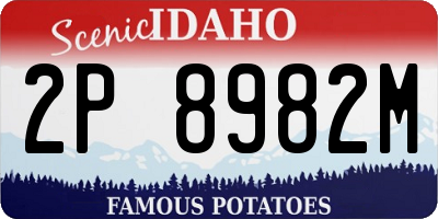 ID license plate 2P8982M