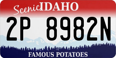 ID license plate 2P8982N