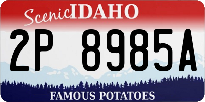 ID license plate 2P8985A