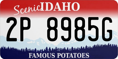 ID license plate 2P8985G