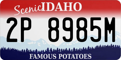 ID license plate 2P8985M
