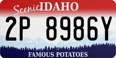ID license plate 2P8986Y