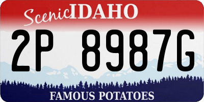 ID license plate 2P8987G