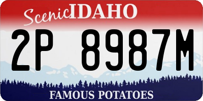 ID license plate 2P8987M