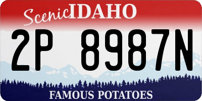 ID license plate 2P8987N
