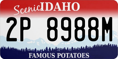 ID license plate 2P8988M