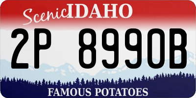 ID license plate 2P8990B