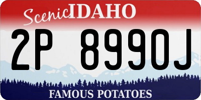 ID license plate 2P8990J