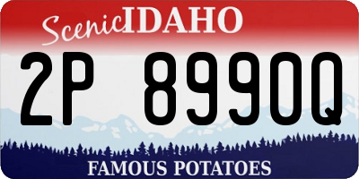 ID license plate 2P8990Q