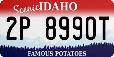 ID license plate 2P8990T