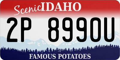 ID license plate 2P8990U