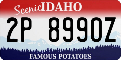 ID license plate 2P8990Z