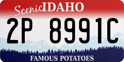 ID license plate 2P8991C