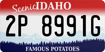 ID license plate 2P8991G