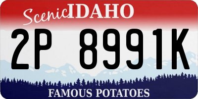 ID license plate 2P8991K