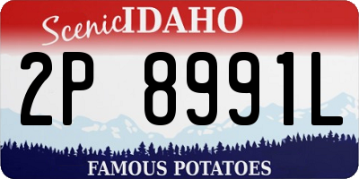 ID license plate 2P8991L