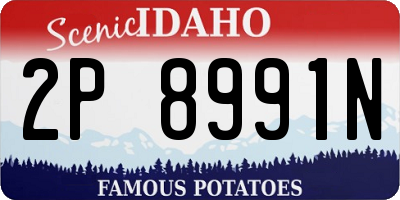 ID license plate 2P8991N