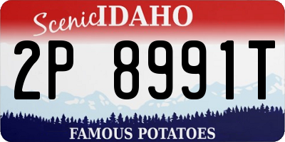 ID license plate 2P8991T